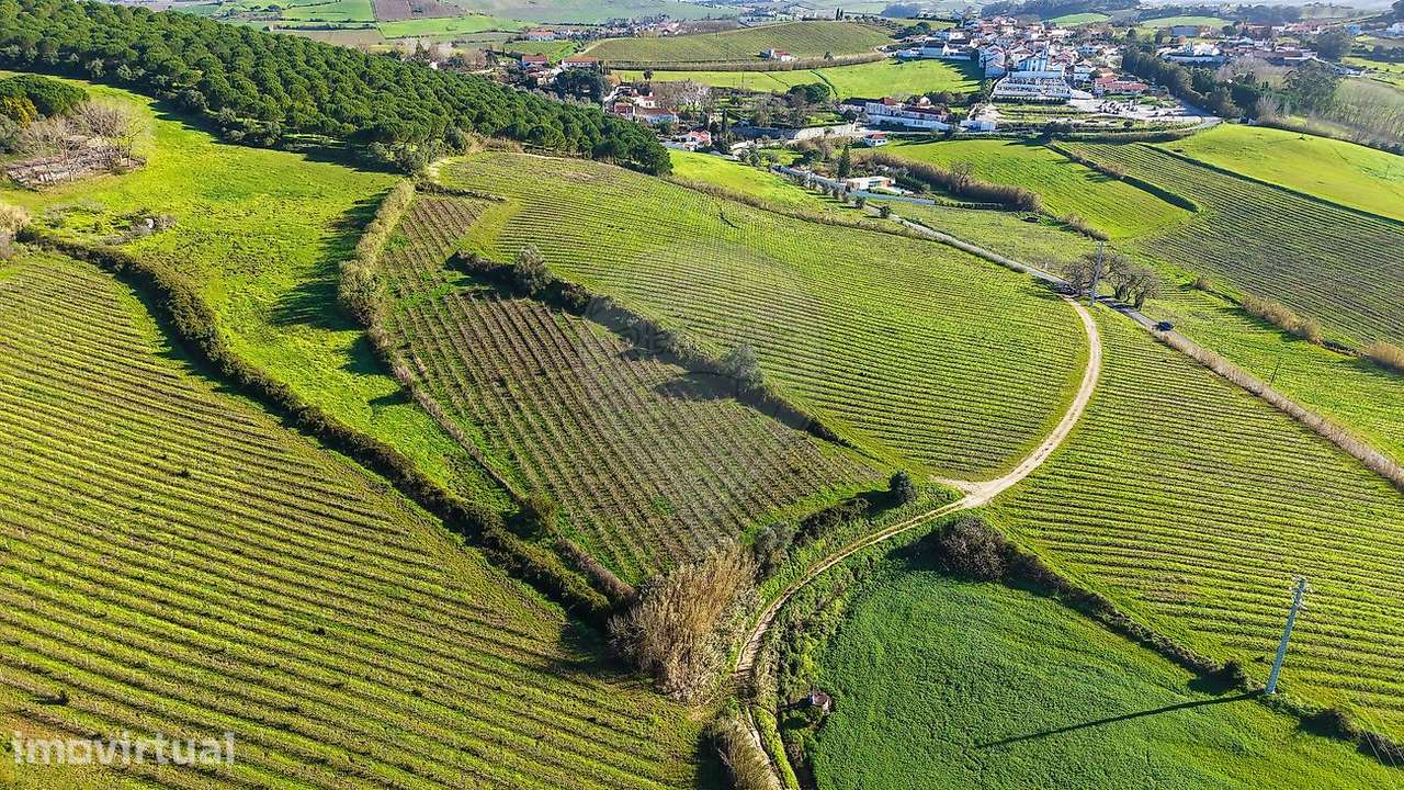 Terreno  para venda - Grande imagem: 4/12