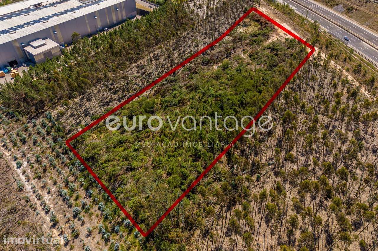 Terreno Industrial c/ 8.846 m² | Maceira, Junto à A8 – pohled 6