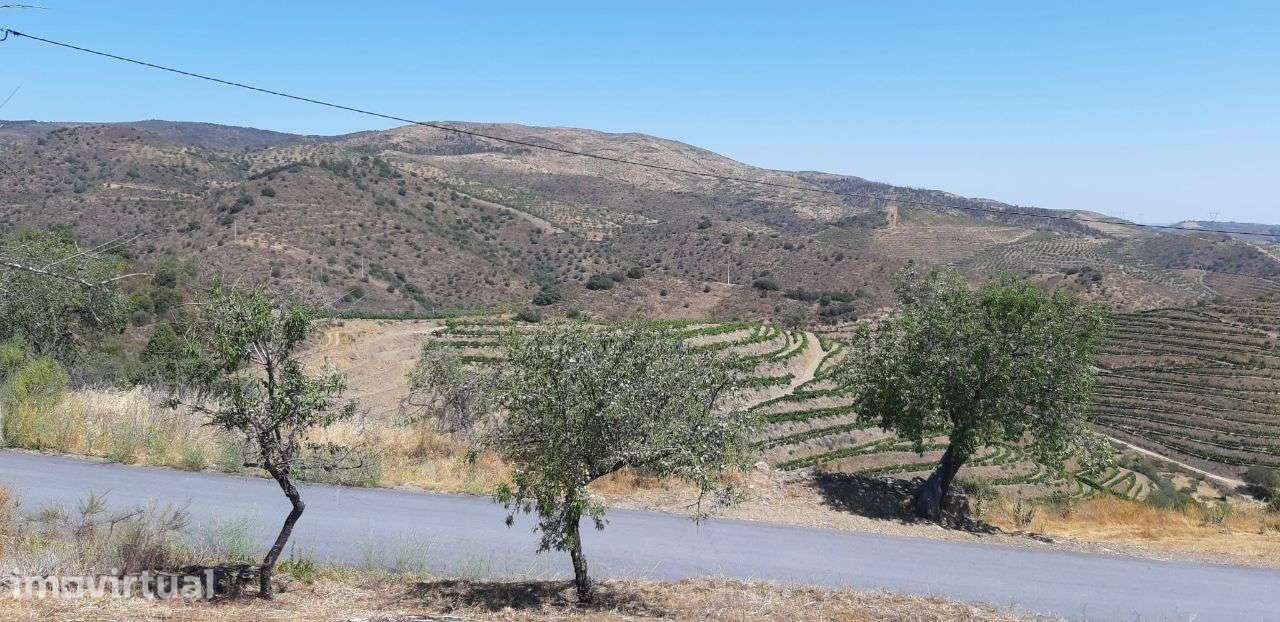 Terreno com 881m² situado na Quinta da Cornalheira, Mêd - Grande imagem: 4/13