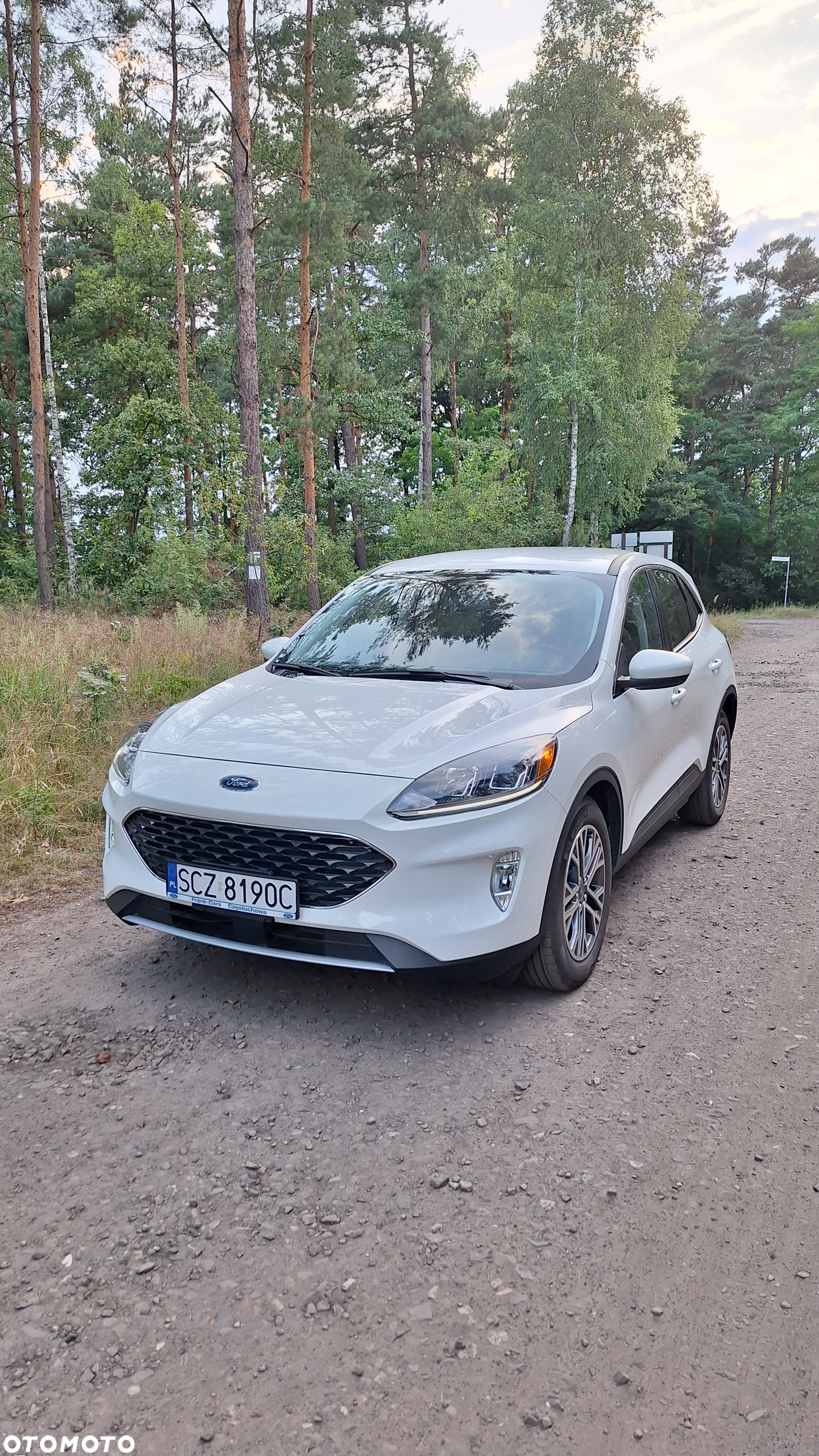 Ford Escape 1.5 EcoBoost AWD SE - 6