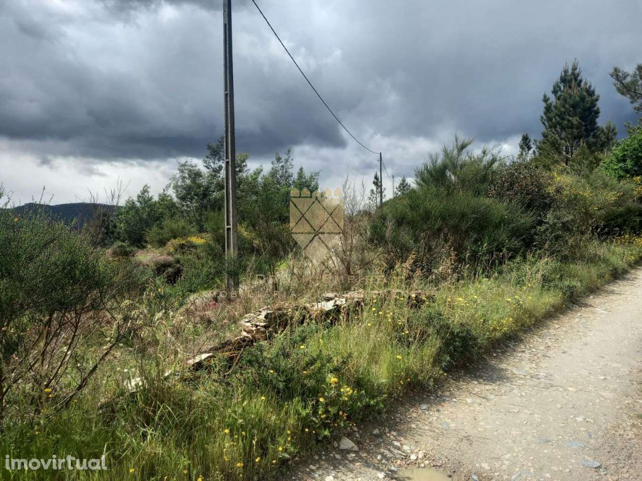 Terreno com 13.679 m² — Excelente Localização em Recarei - Grande imagem: 3/8
