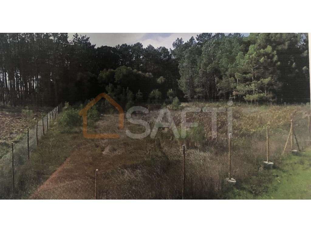 Terreno com 1860m2 com projeto aprovado em Pataias, Alcobaça - Grande imagem: 4/5