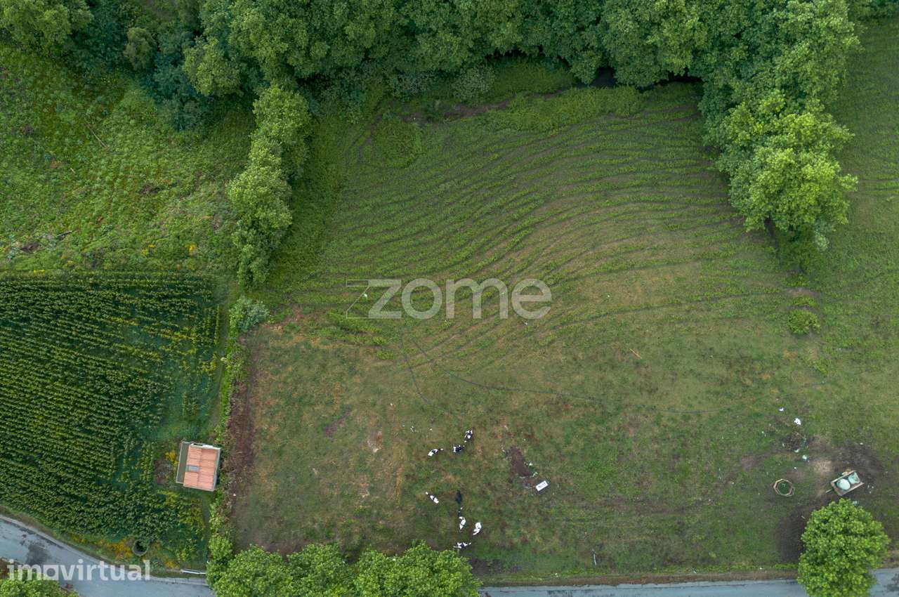 Terreno Rústico com 2440m² - Fenais da Ajuda - Grande imagem: 4/17