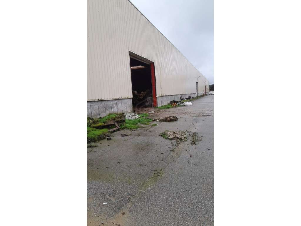 Imóvel Industrial inserido em Terreno de 60.000 m2, na Guarda - Grande imagem: 5/22