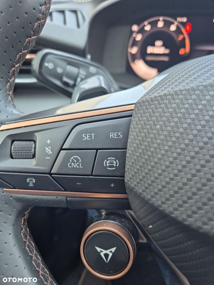 Cupra Terramar - 32