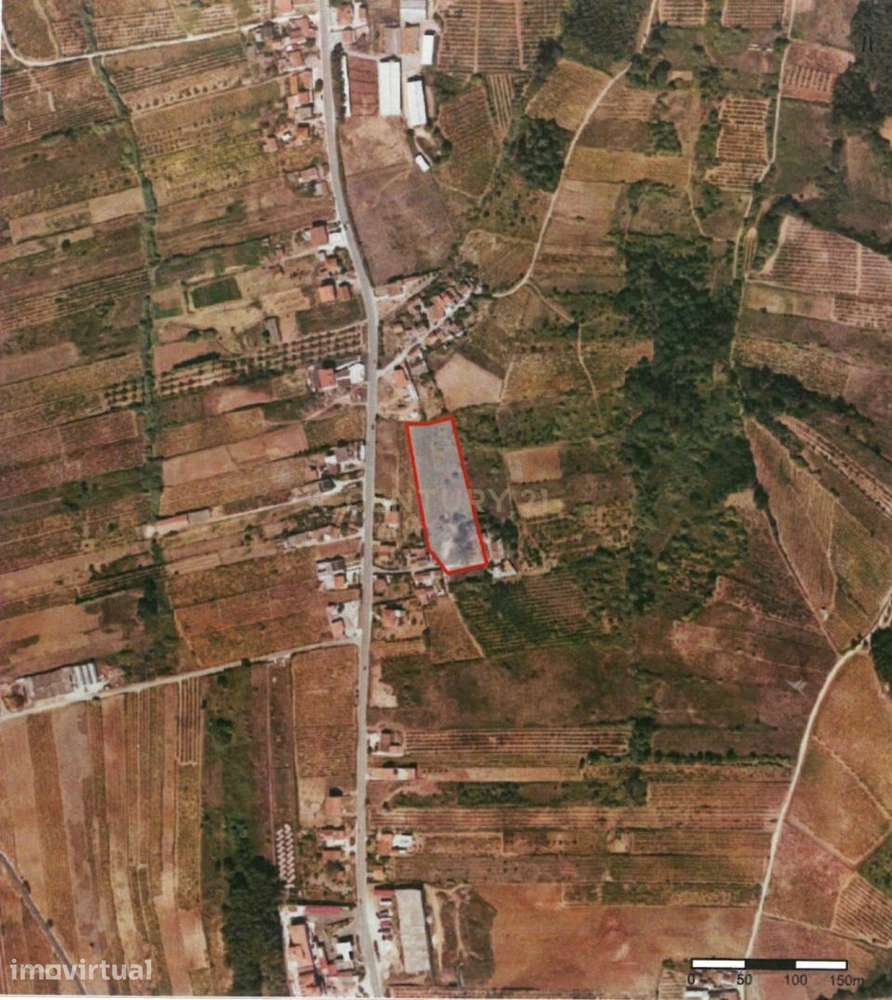 Terrenos em Painho/Cadaval -  Oportunidade de Investimento para agricu - Grande imagem: 4/8