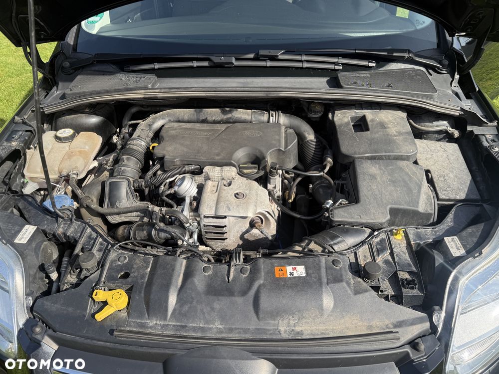 Ford Focus - 6