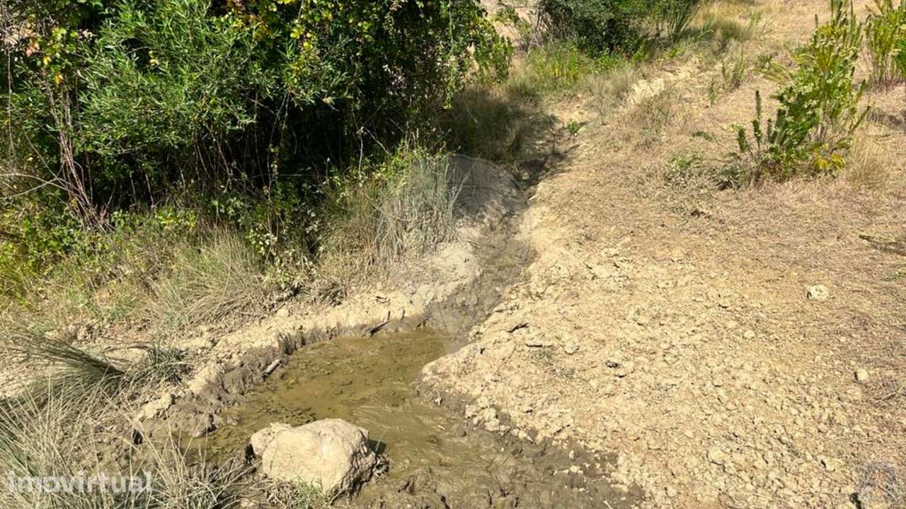 Terreno  para venda - Grande imagem: 2/33
