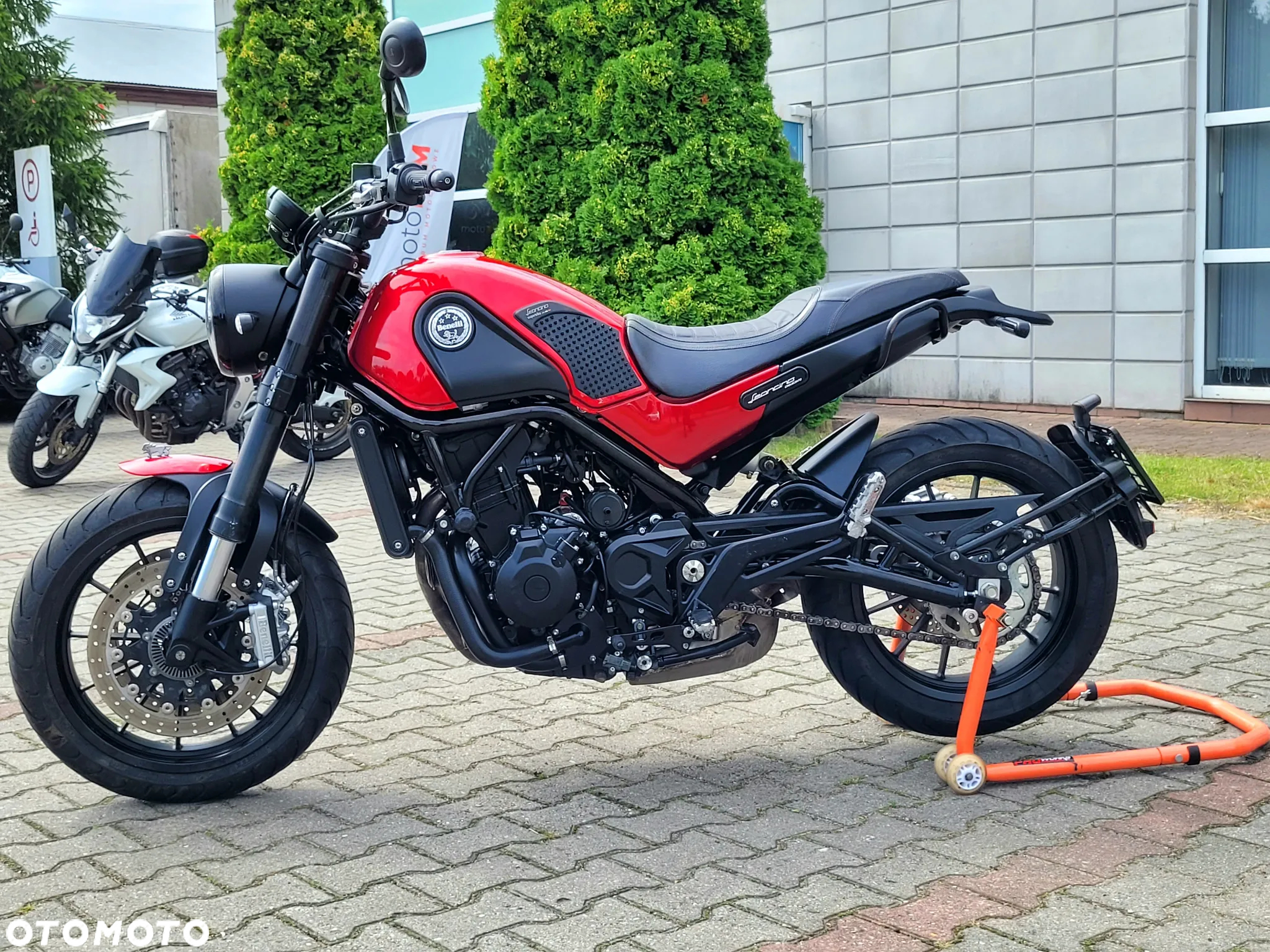 Benelli Leoncino - 16