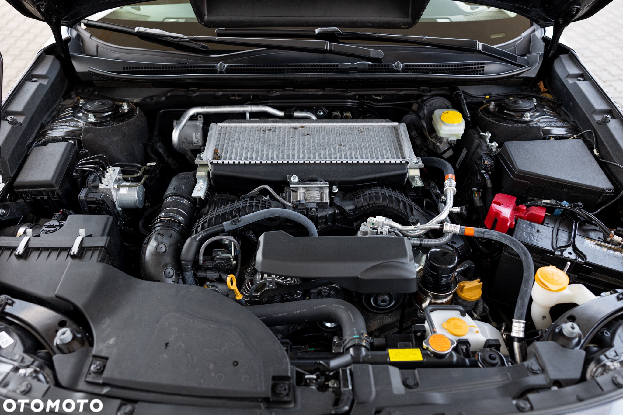 Subaru Outback - 40