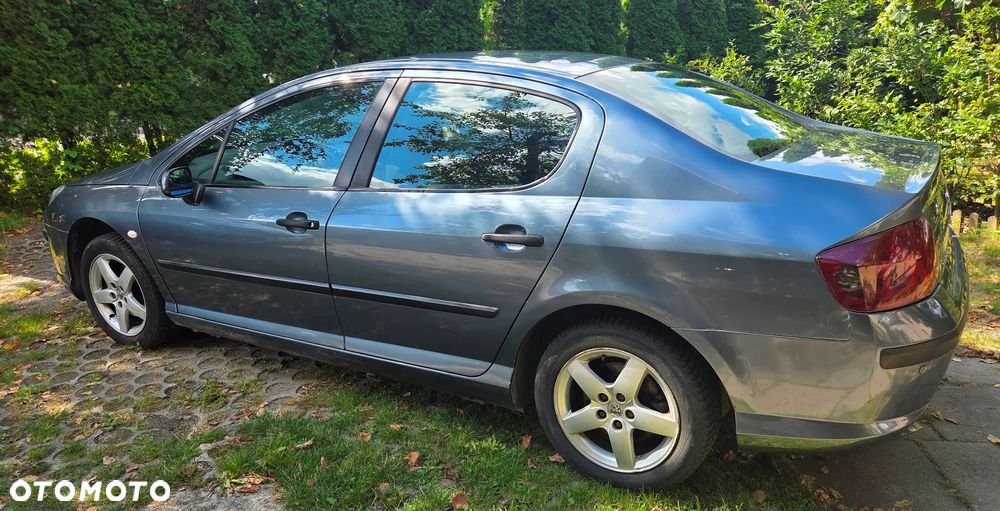 Peugeot 407 - 4