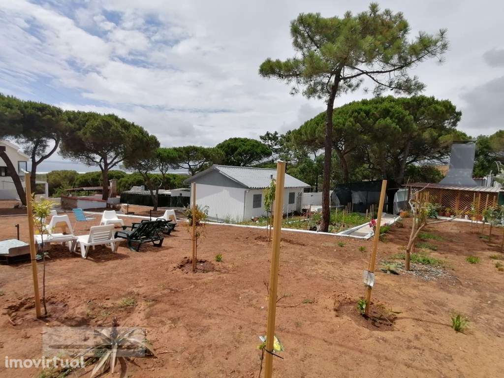 3 Terrenos na Courela do Pinhal com uma moradia terrea T2 - Grande imagem: 2/32