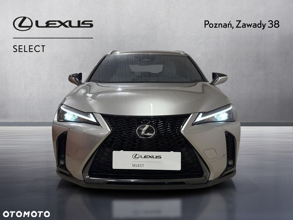 Lexus UX 300h F Sport Design - 7