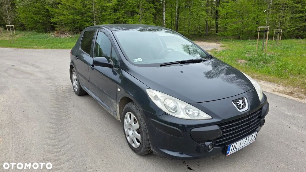 Peugeot 307 1.4 Trendy (klm) - 2