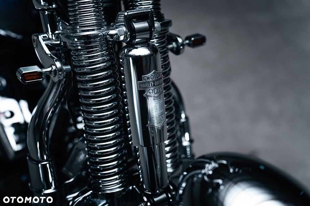 Harley-Davidson Softail Springer Classic - 20