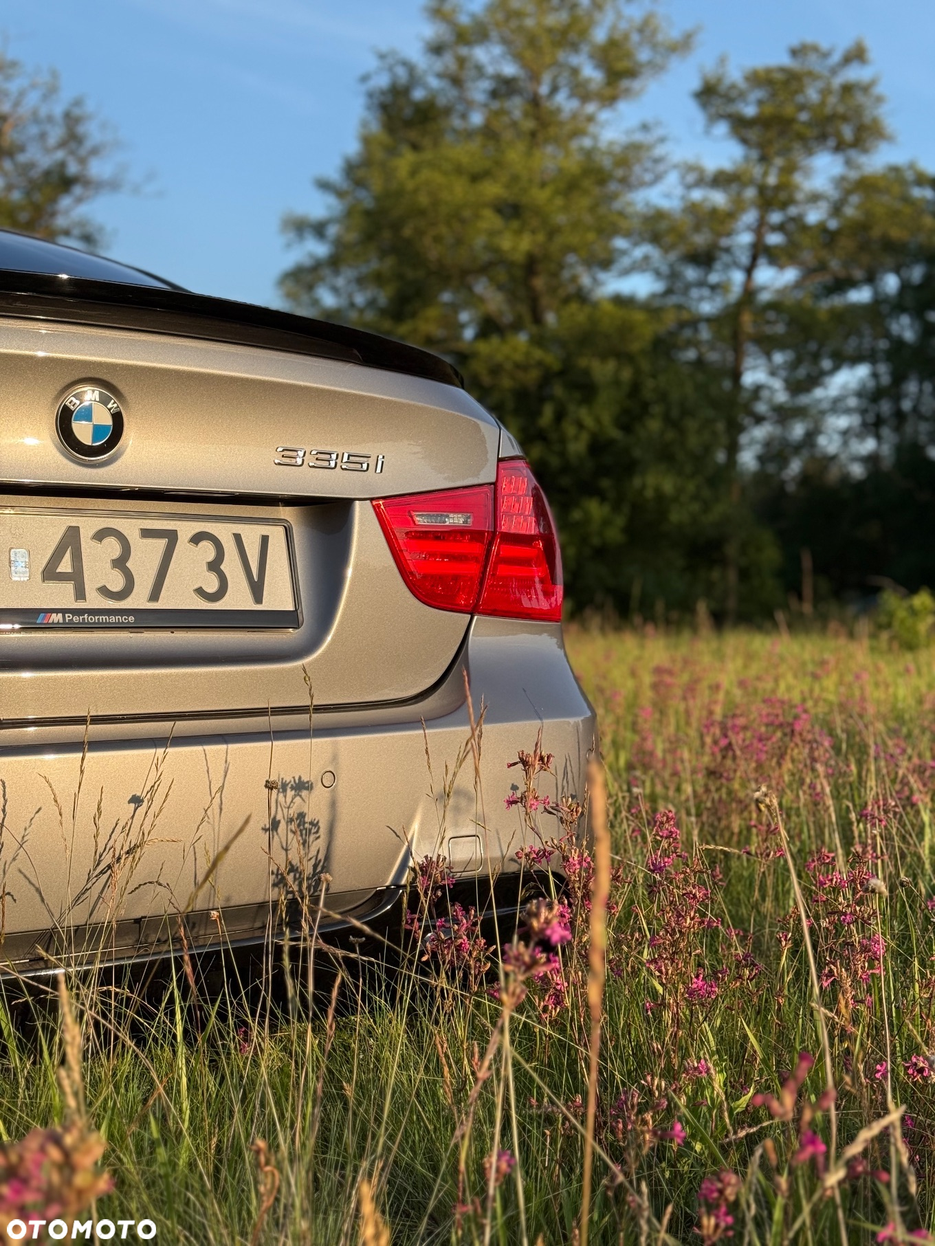 BMW Seria 3 - 10