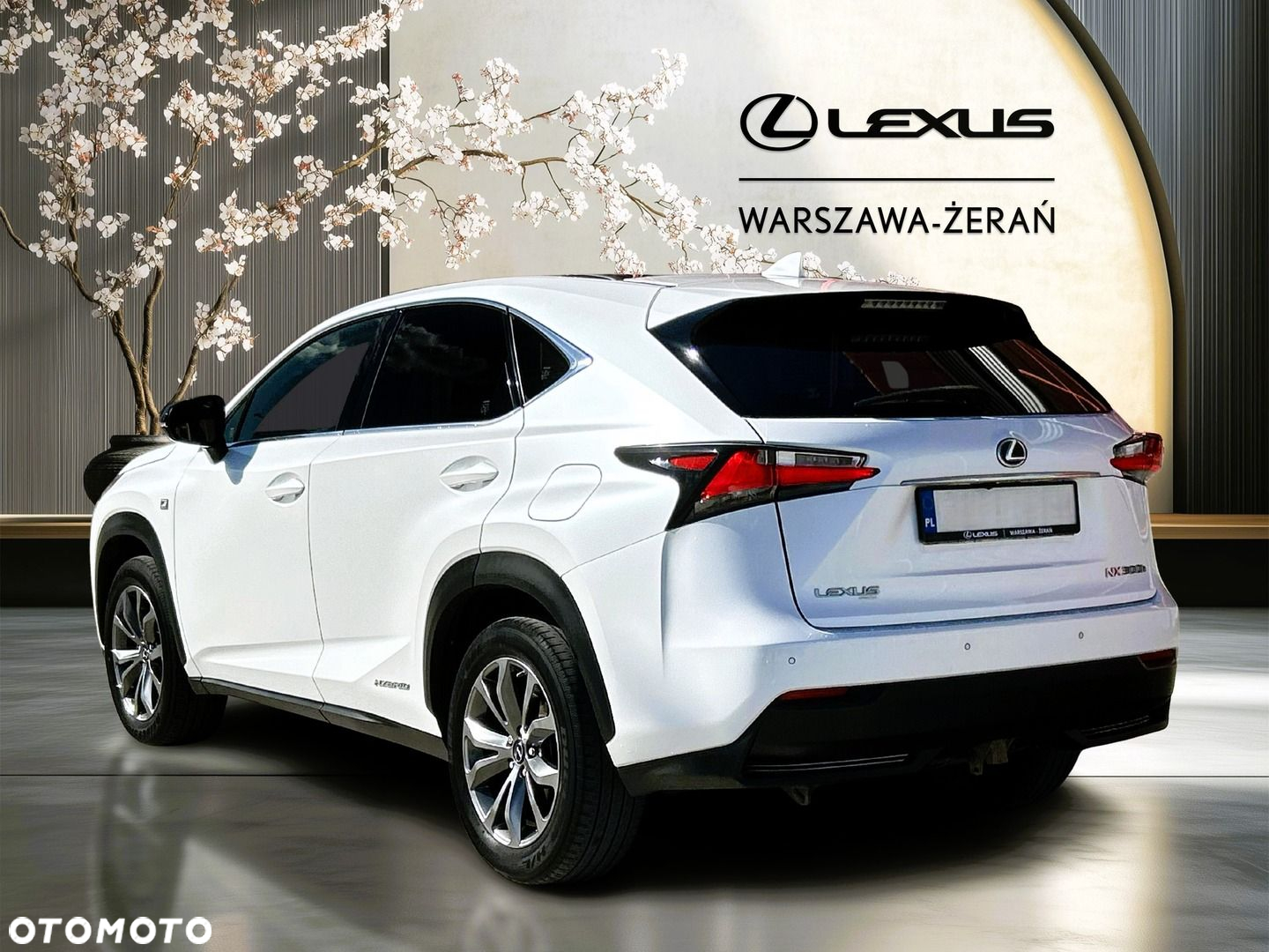 Lexus NX 300h F Sport AWD - 5