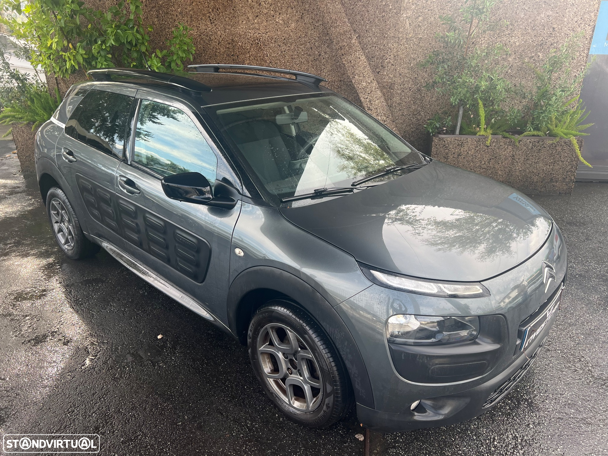 Citroën C4 Cactus 1.2 PureTech Shine Ed.Moonlight - 12