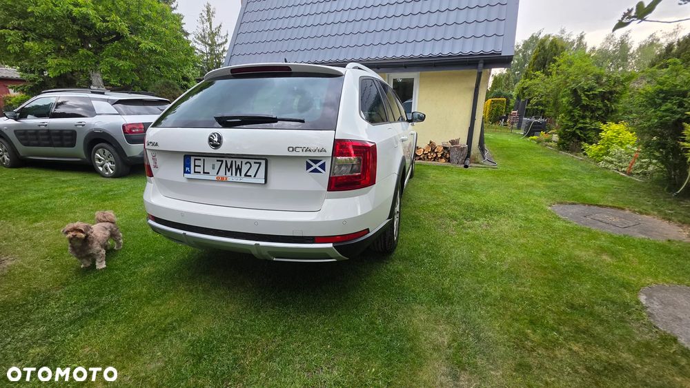 Skoda Octavia Scout 2.0 TDI 4x4 - 6
