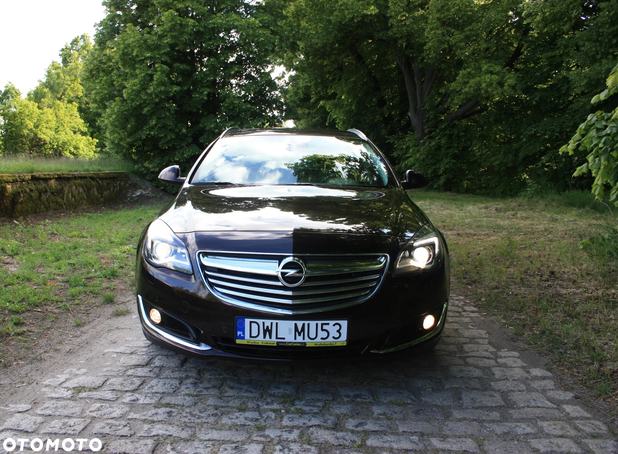 Opel Insignia 2.0 CDTI Executive S&S - 13
