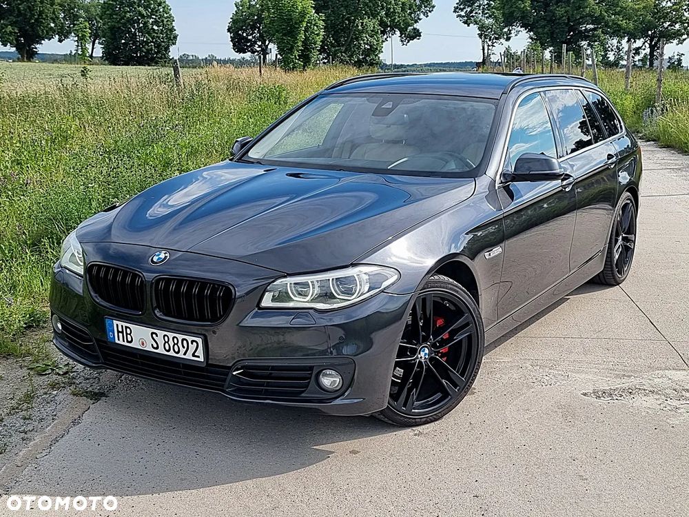 BMW Seria 5 520d Luxury Line sport - 14
