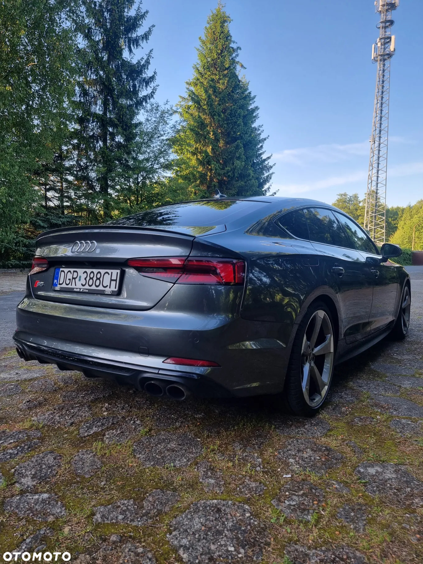 Audi S5 3.0 TFSI Quattro Tiptronic - 6