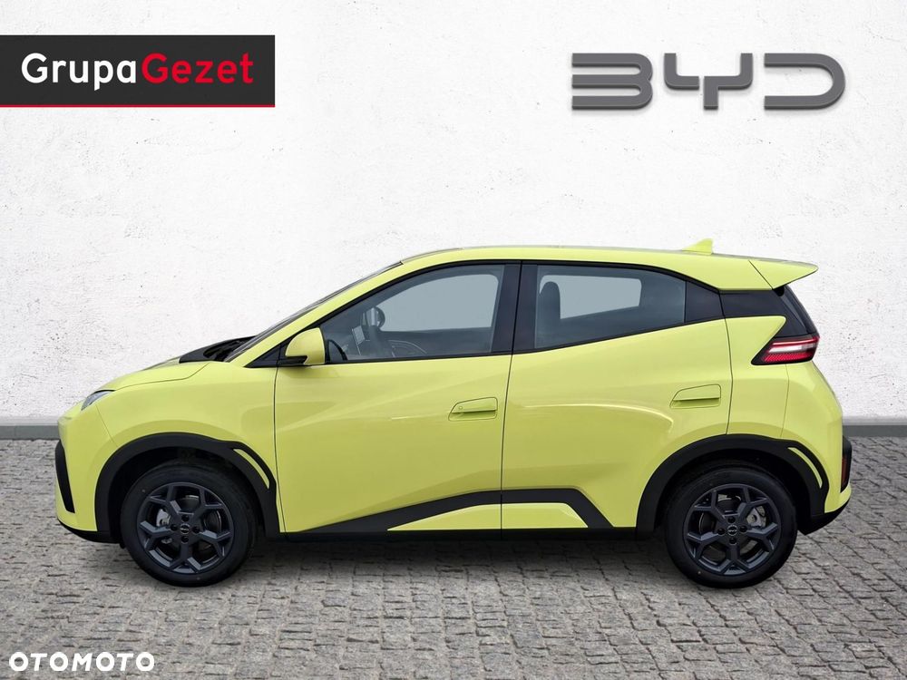 BYD Dolphin Surf - 2