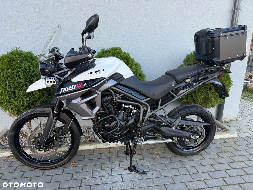 Triumph Tiger - 36