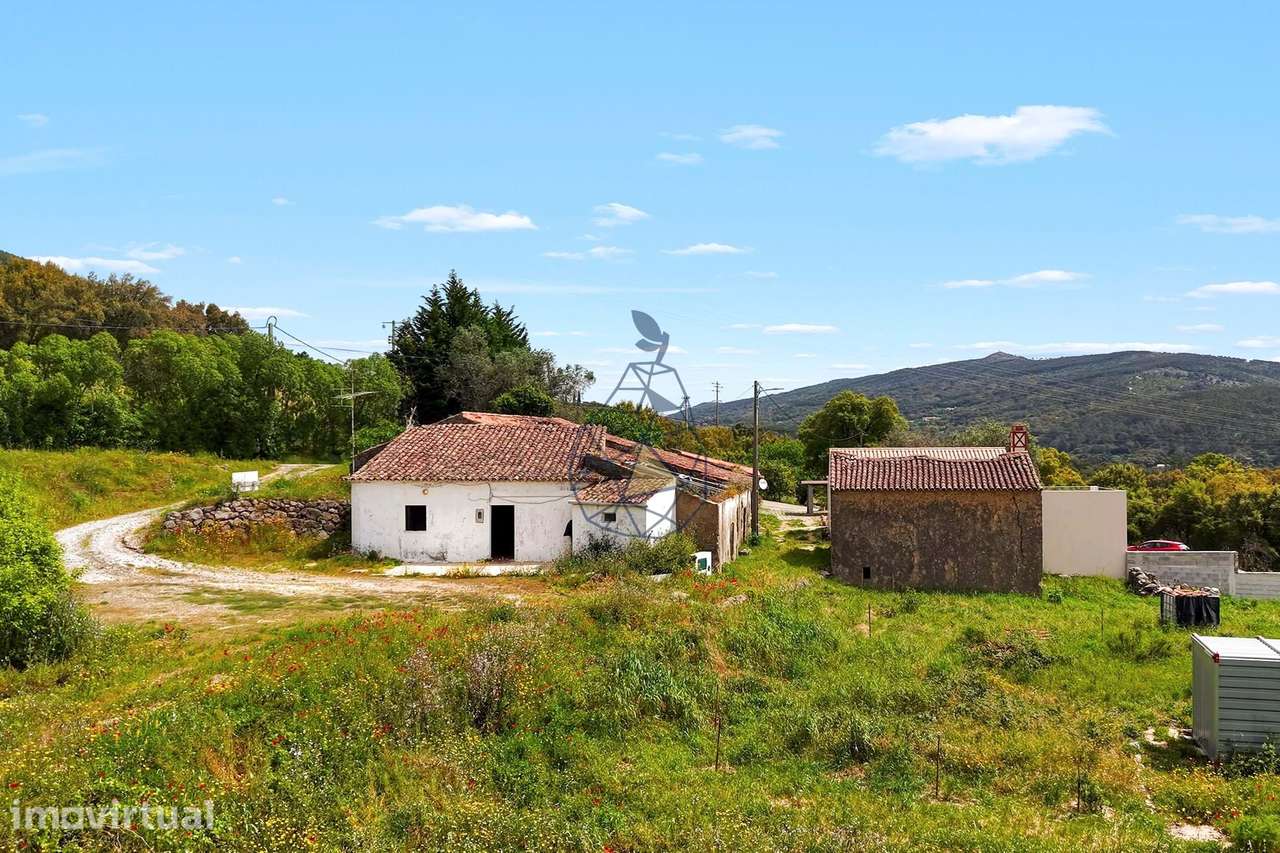 Quinta com casa antiga com vista mar em Monchique - Grande imagem: 4/31