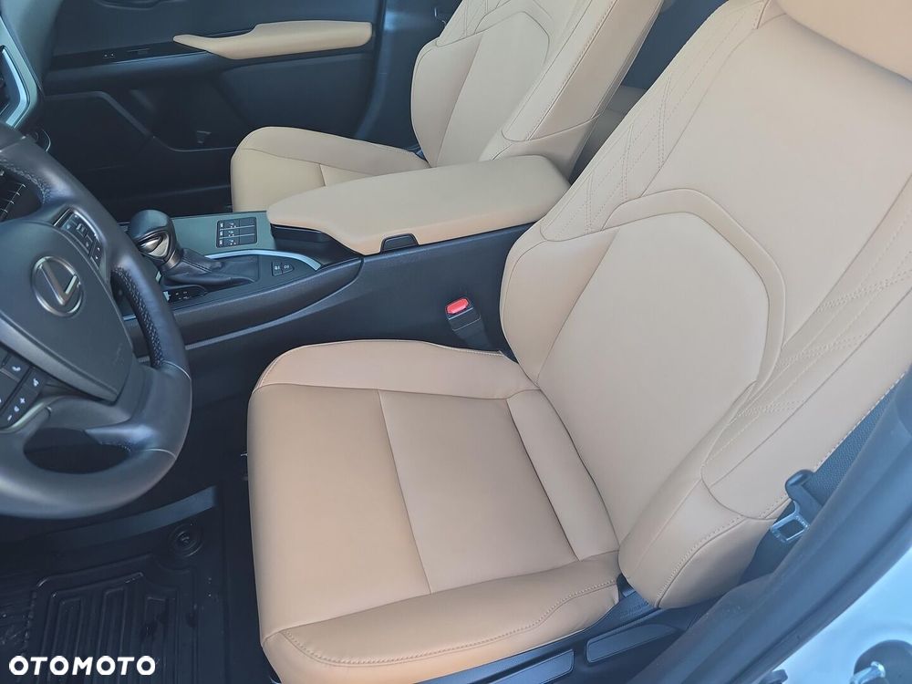 Lexus UX 250h GPF F Sport Design 2WD - 14