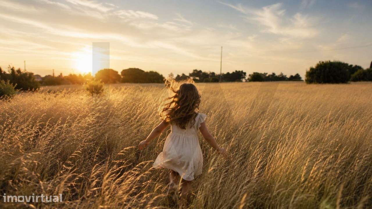 Entre Pinheiros |Terreno Rústico com 10.430m2, nos Salicos, entre Lago - Grande imagem: 4/13