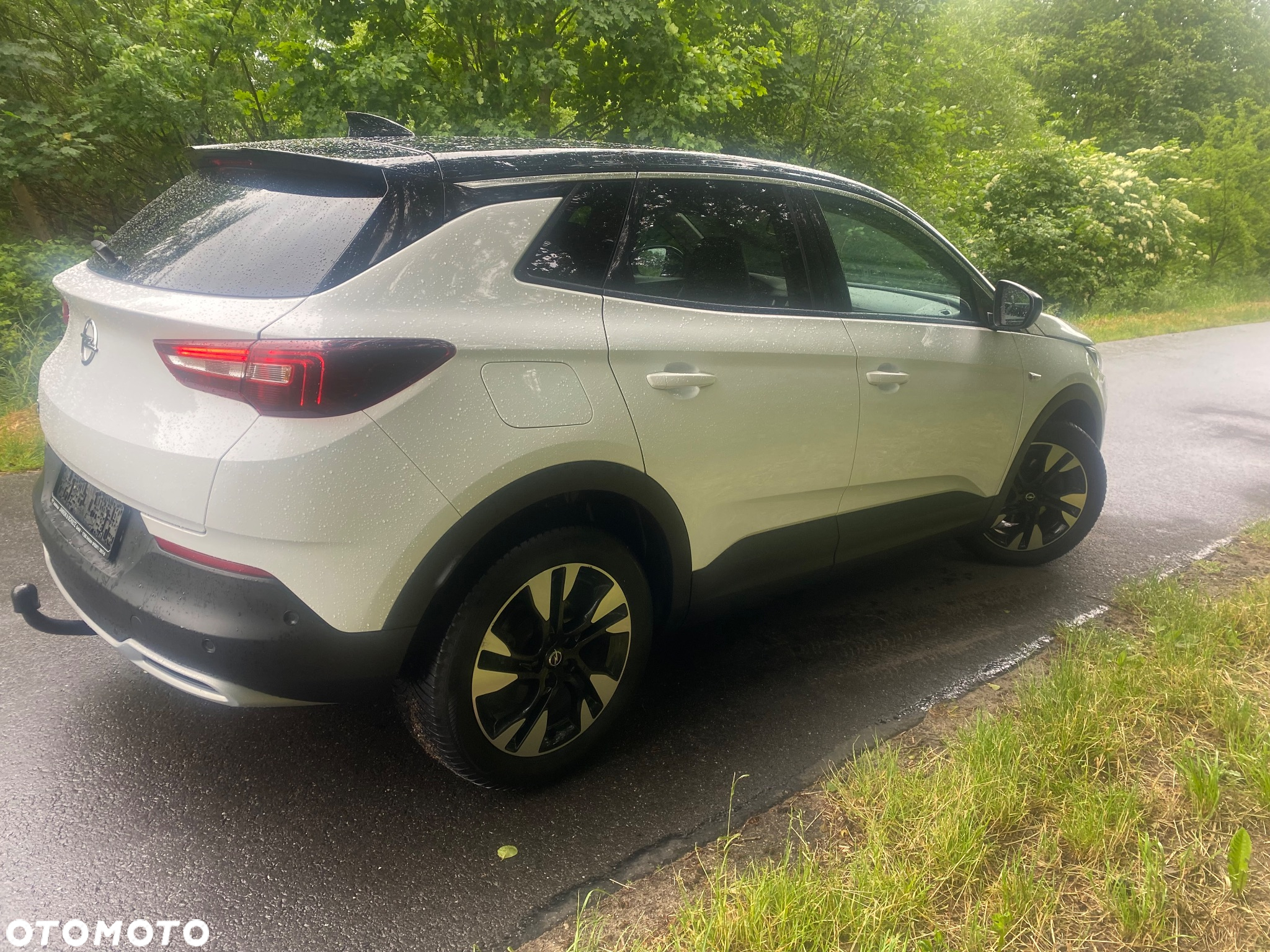 Opel Grandland X 2.0 D Start/Stop Automatik Design Line - 17