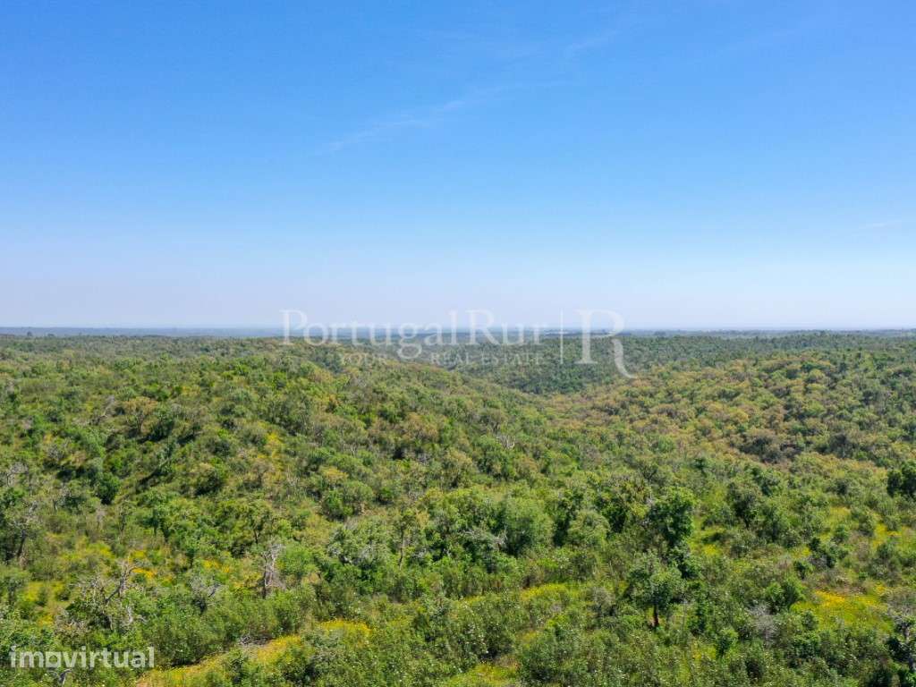 Herdade com 85 ha com viabilidade turística, a 15 km de Melides - Grande imagem: 5/11