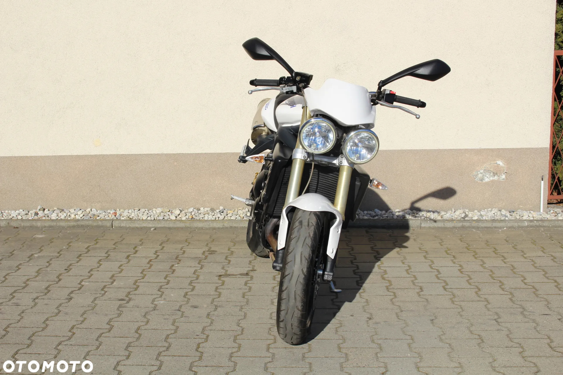 Triumph Speed Triple - 10