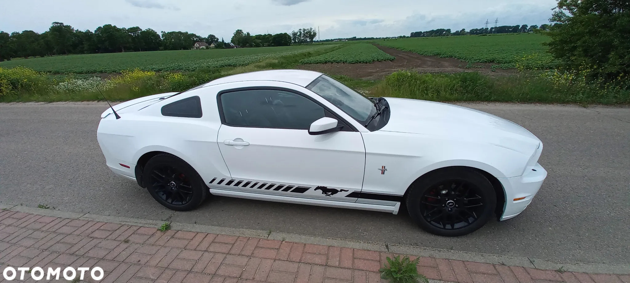 Ford Mustang 3.7 V6 Premium - 8