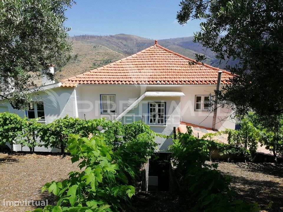 ARGANIL. Quintinha 8 assoalhadas na Serra do Açor - Grande imagem: 2/23