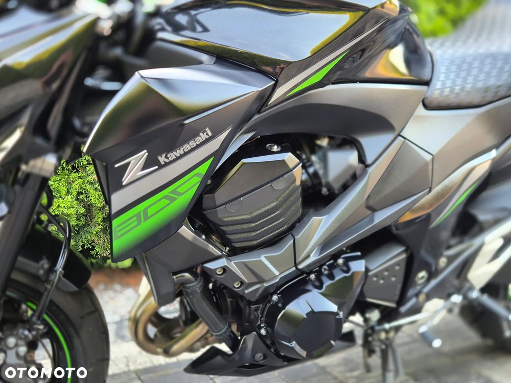 Kawasaki Z - 33