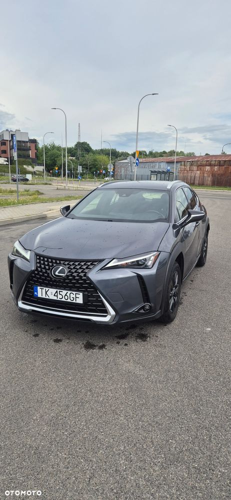 Lexus UX 250h - 1