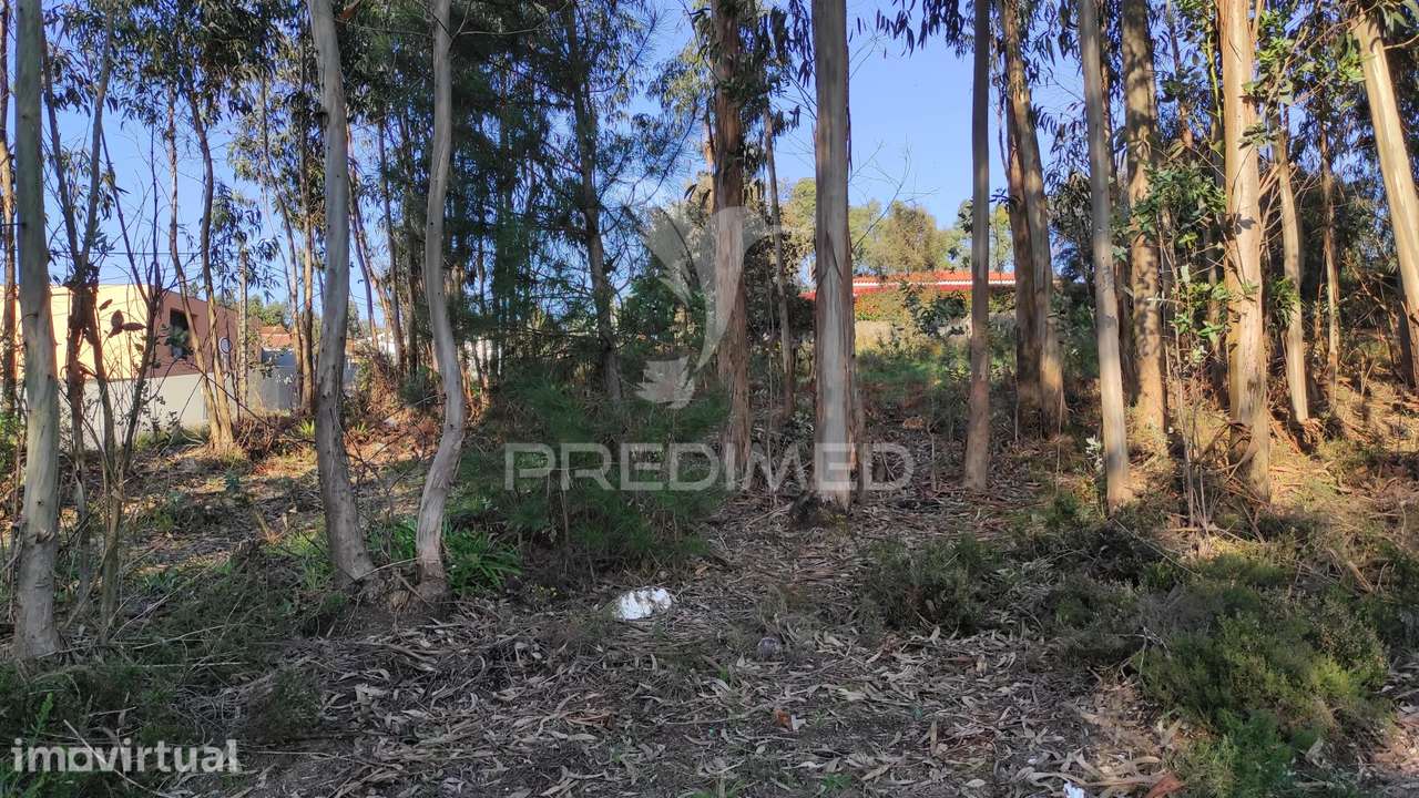 Terreno Urbano em Lousado - Grande imagem: 4/7
