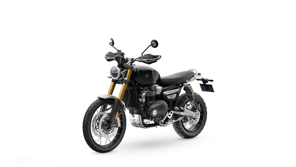 Triumph Scrambler - 2
