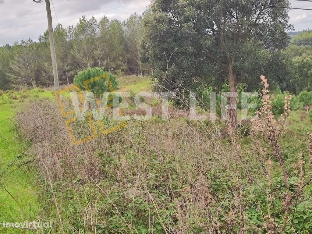 Terreno Urbano com viabilidade de construção, excelente localização... - Grande imagem: 3/11