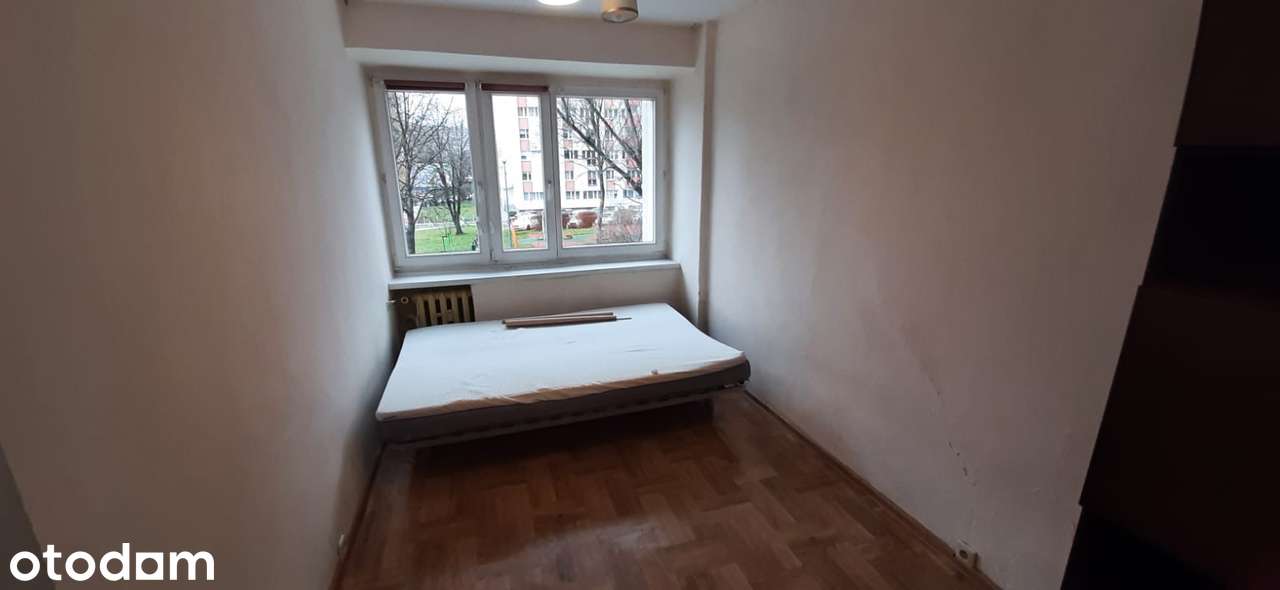 Katowice, centrum,Uniwersytecka, k/uczelni, 2 osobne pokoje