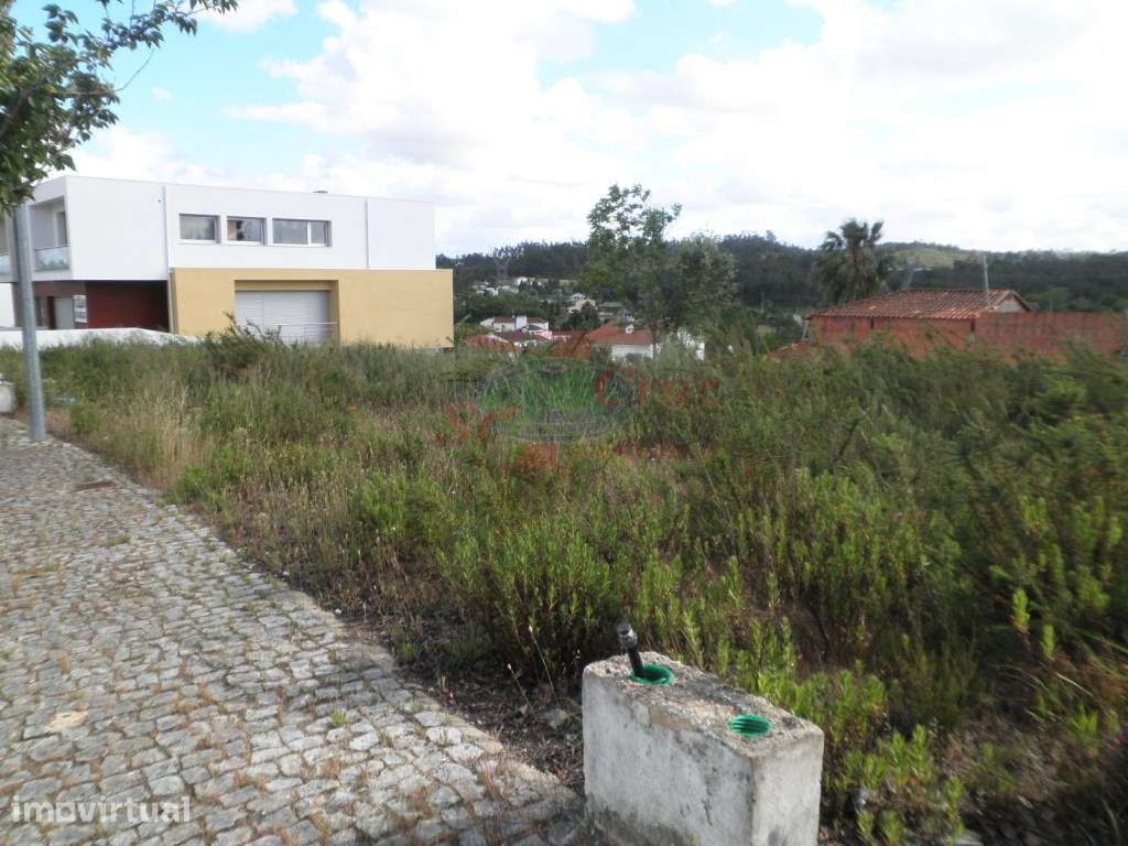 Terrenos - Ançã - Grande imagem: 2/6