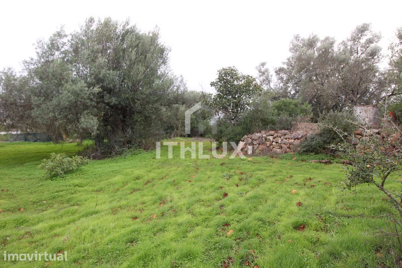 Terreno urbano em Loulé, Tôr,  Loulé - Algarve - Grande imagem: 5/11