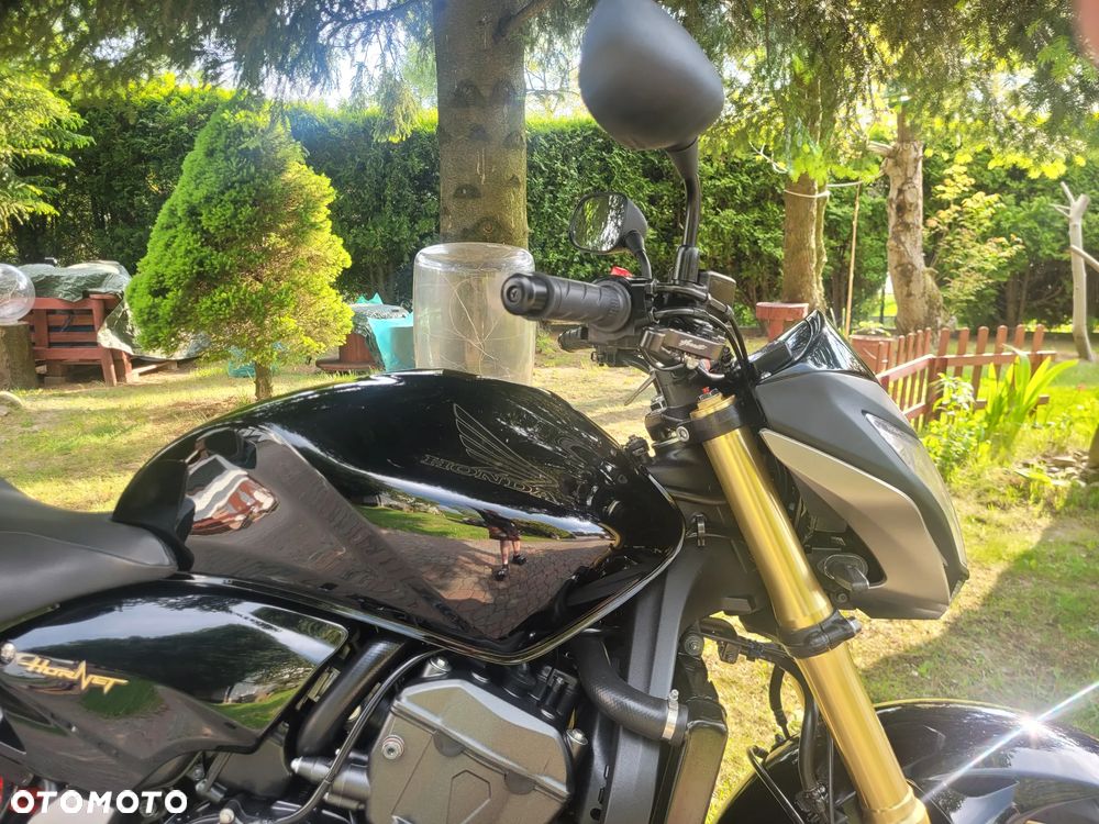 Honda Hornet - 6