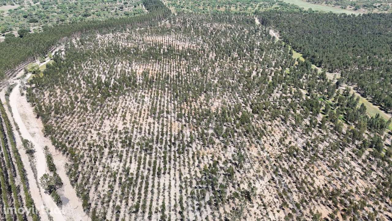 Moradia T4 para venda - Grande imagem: 2/14