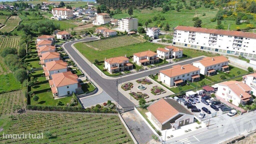 Terreno Agrícola em Alijó - Grande imagem: 3/12