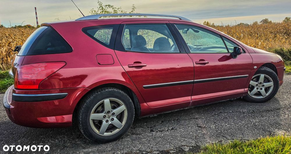 Peugeot 407 - 7