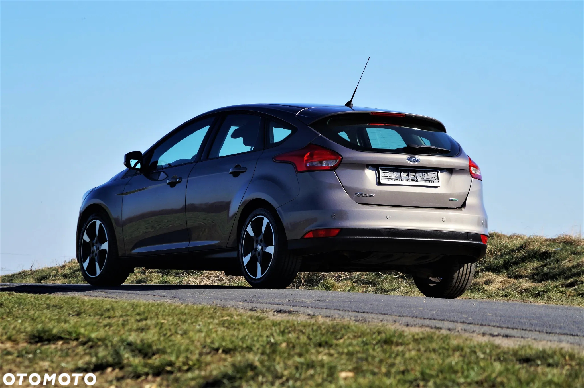 Ford Focus - 5