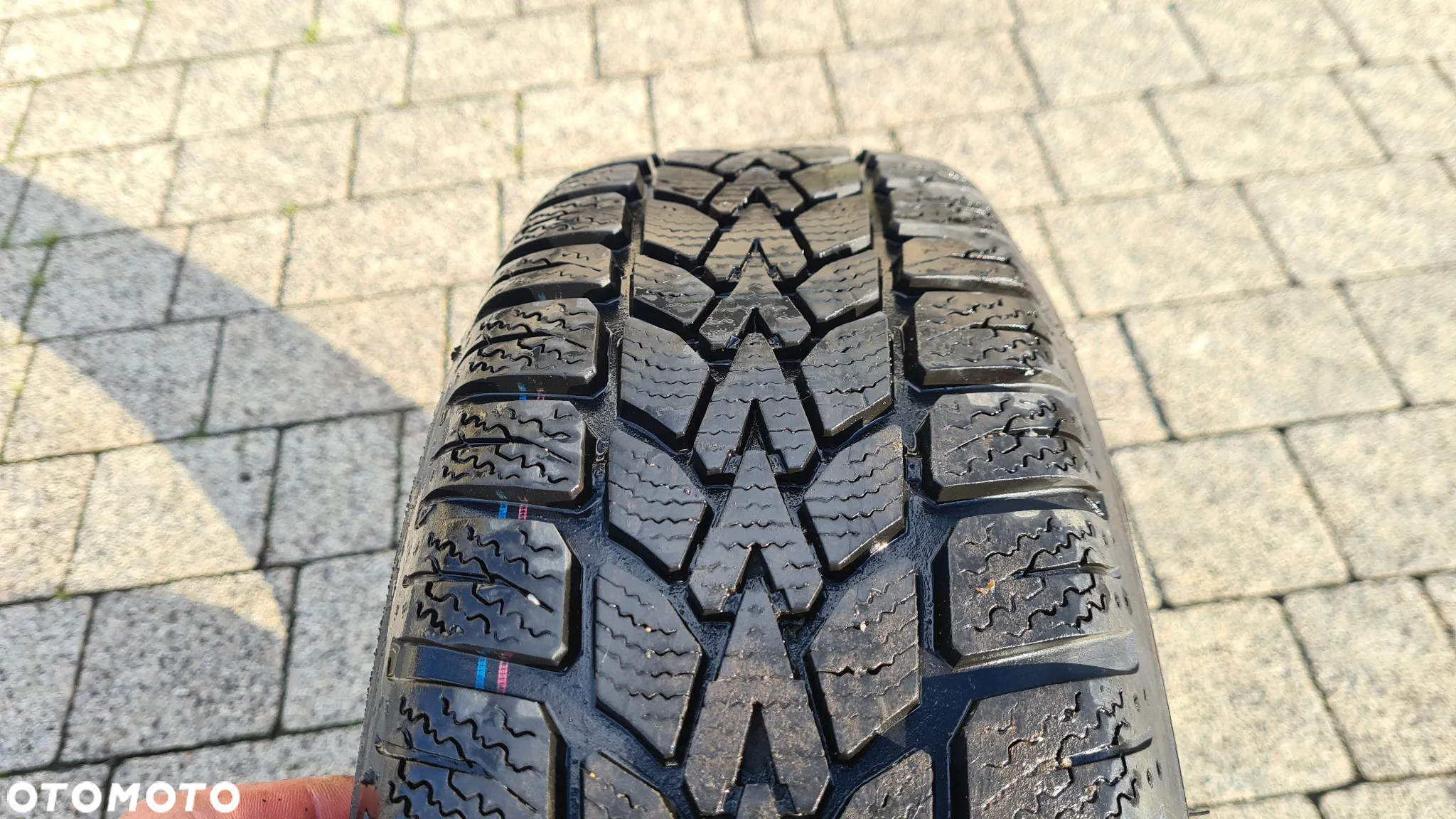 1 Sztuka Opona Zimowa 175/65R14 82T Dunlop Winterresponse 2 - 6